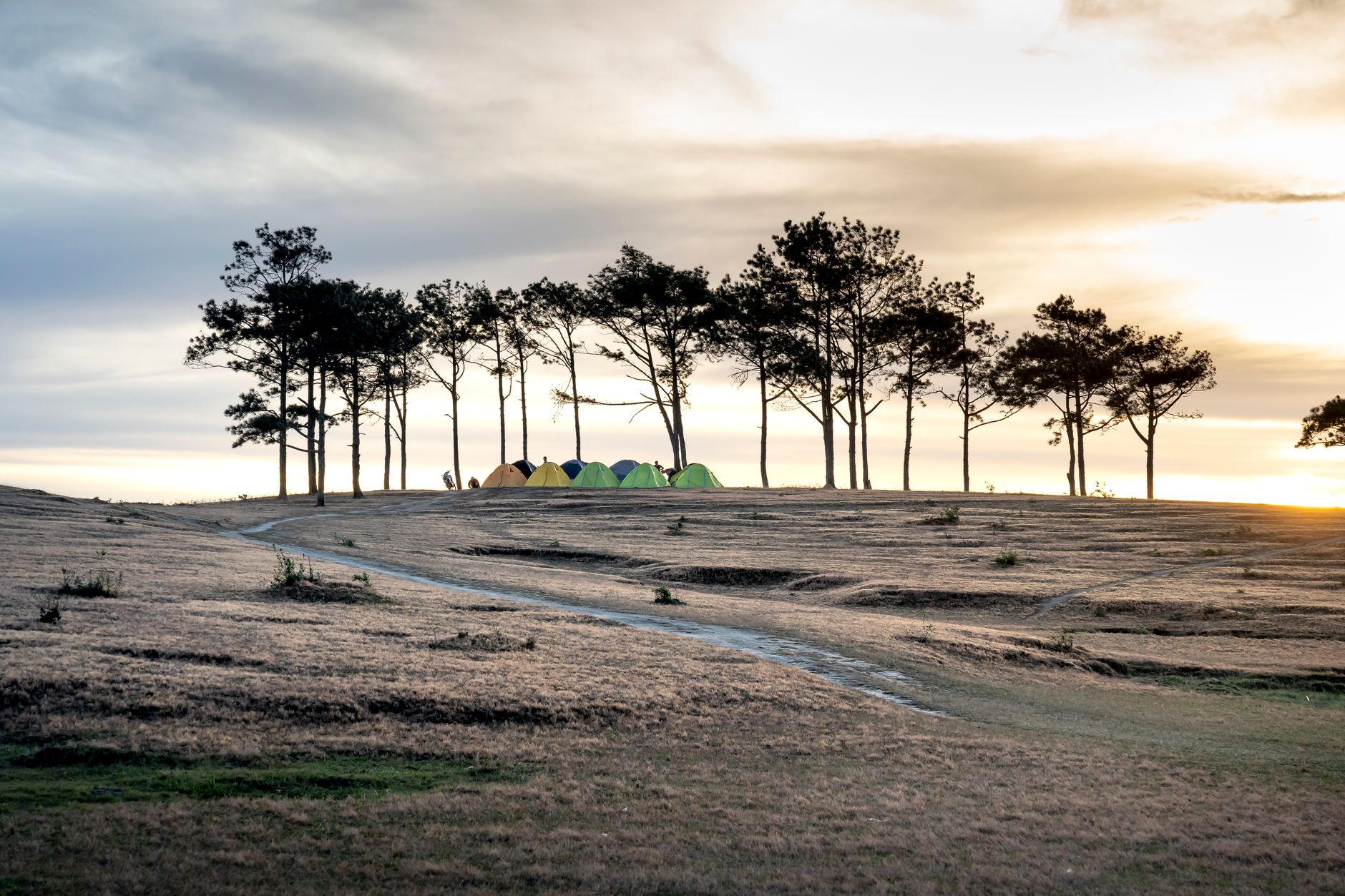 Parcela de camping entre pinos con una caravana y espacio para vehículo