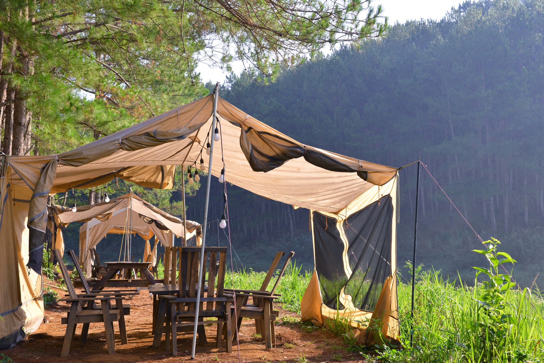 Explore a rustic campsite with tents surrounded by lush greenery and serene forest views.