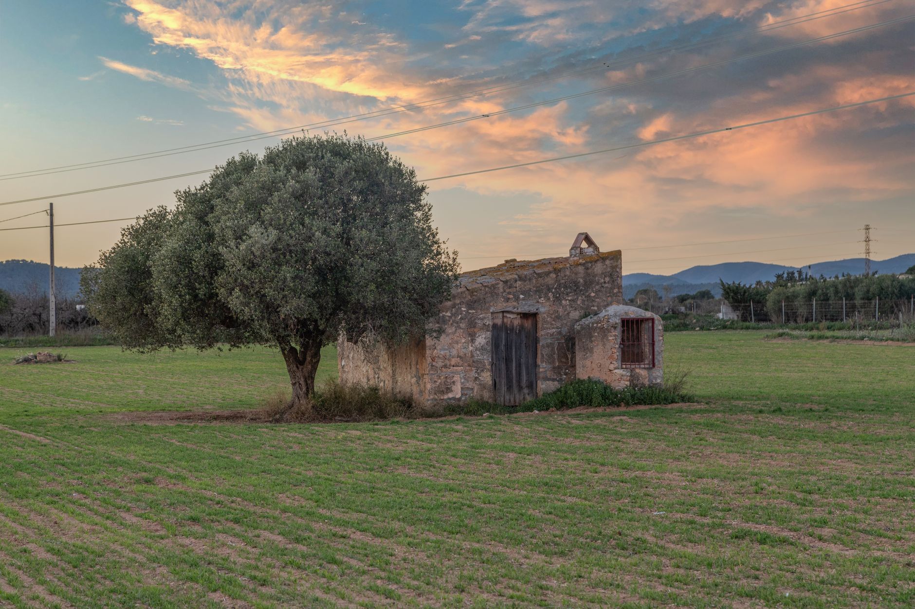 Scenic view of an old stone farmhouse and tree in Santa Oliva, Spain at sunset.